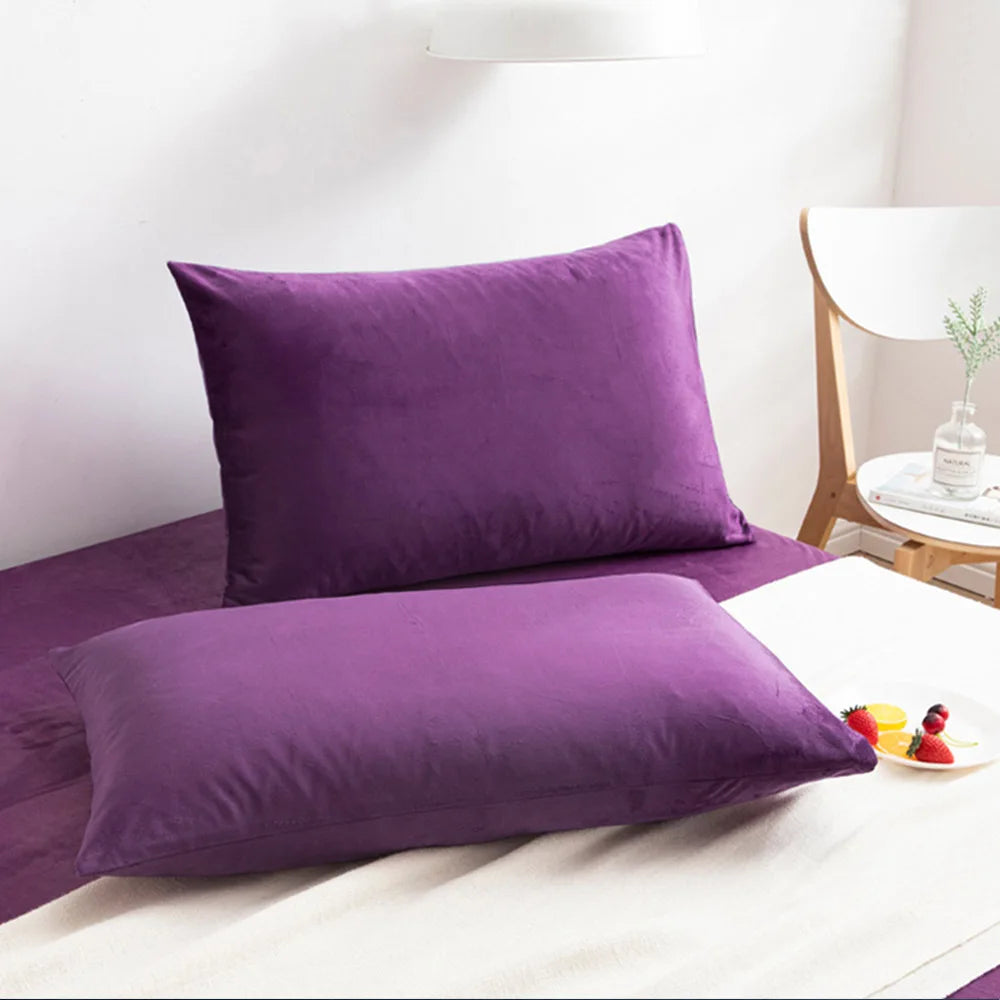 Ntbay 2-Pack Velvet Luxury Pillowcases Hidden Zipper