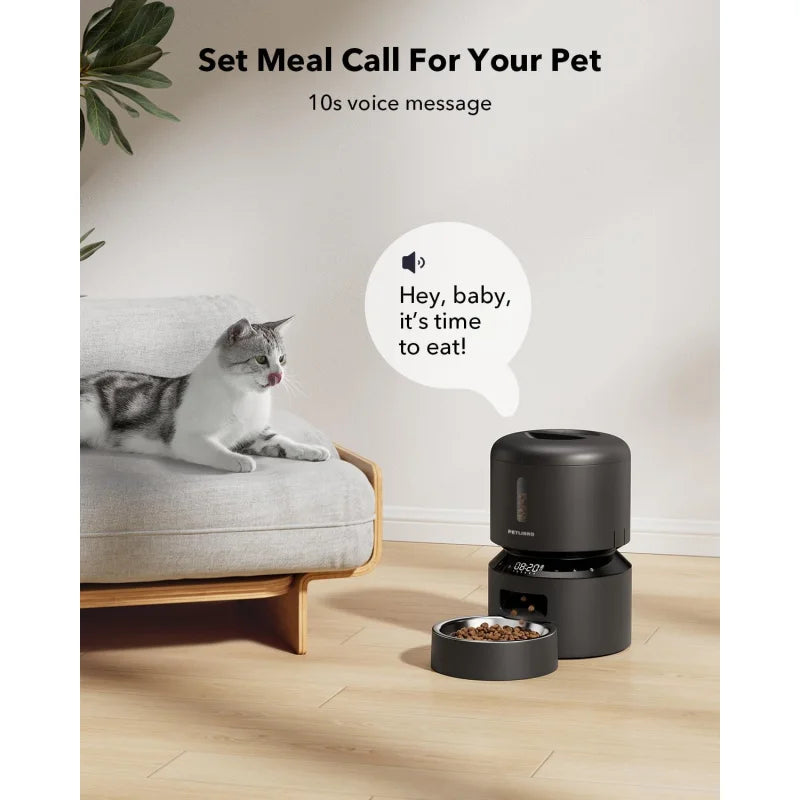 Automatic Cat Feeder with Timed Meals