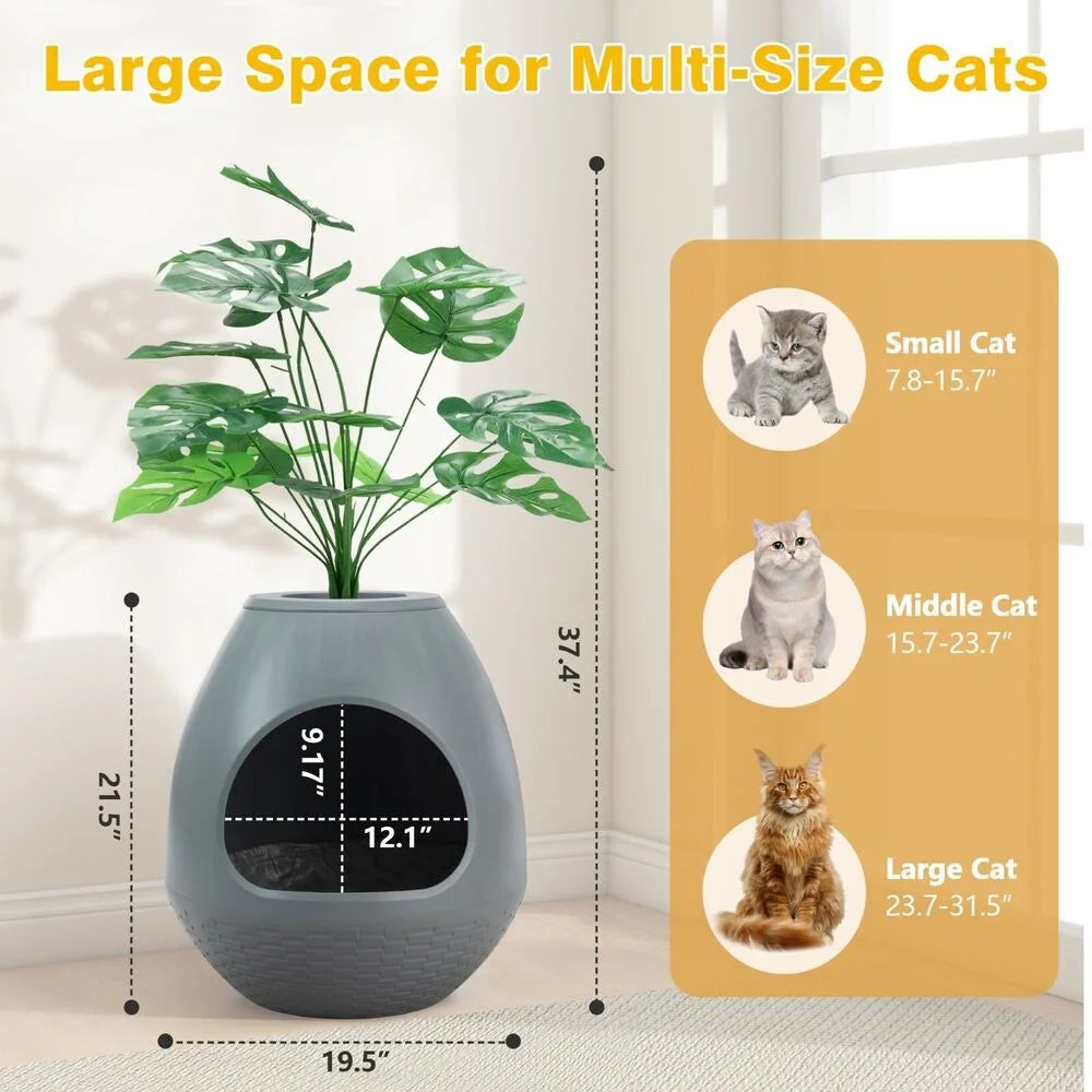 Egg-Shaped Smart Cat Litter Box
