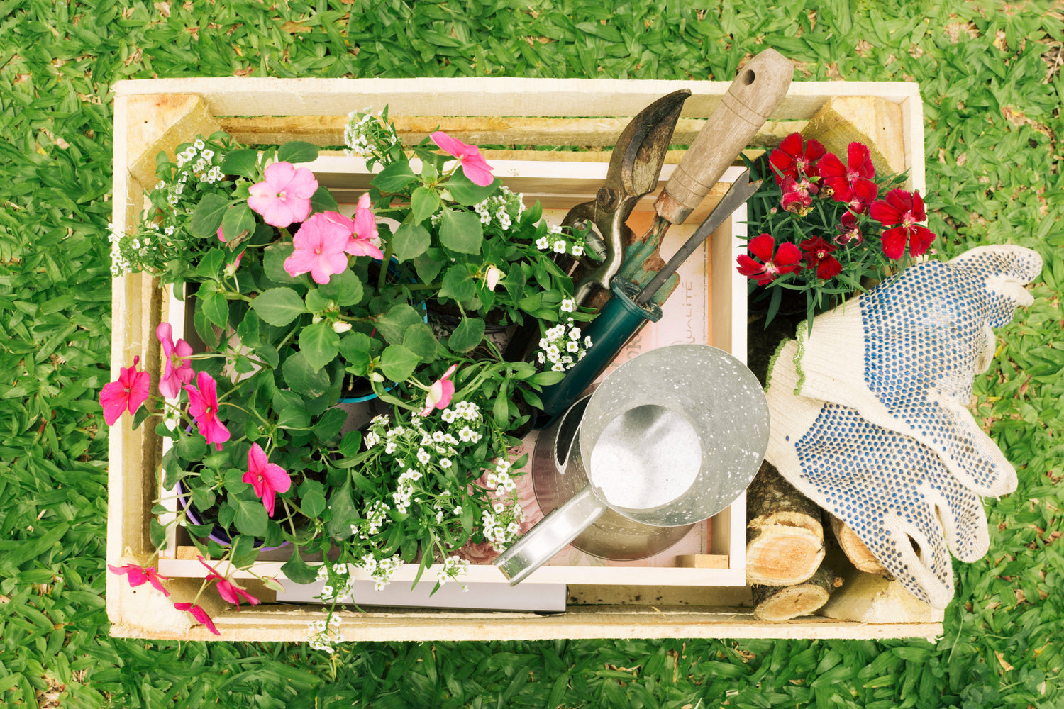 Outdoor and Garden