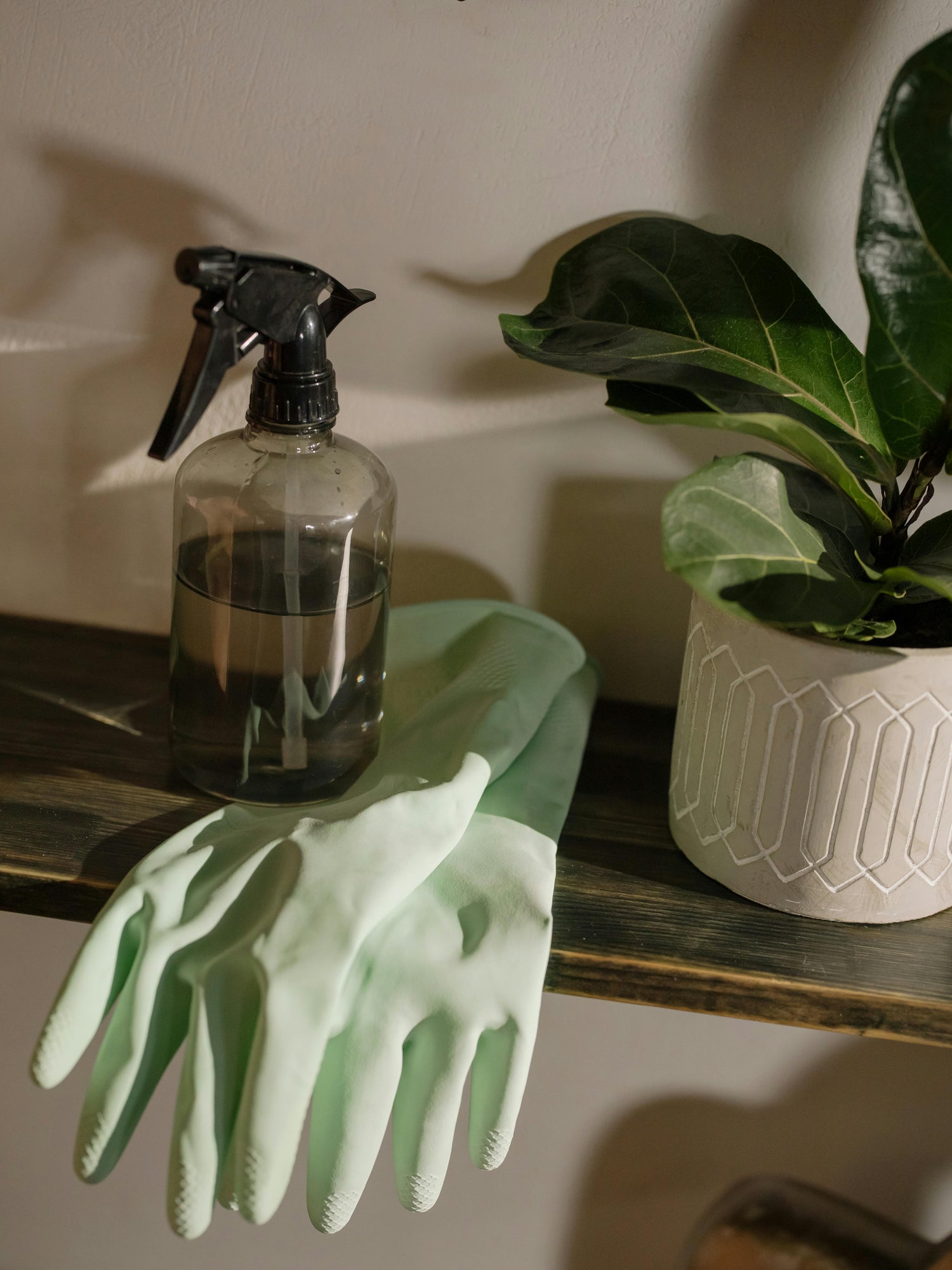 Cleaning and Maintenance Tools