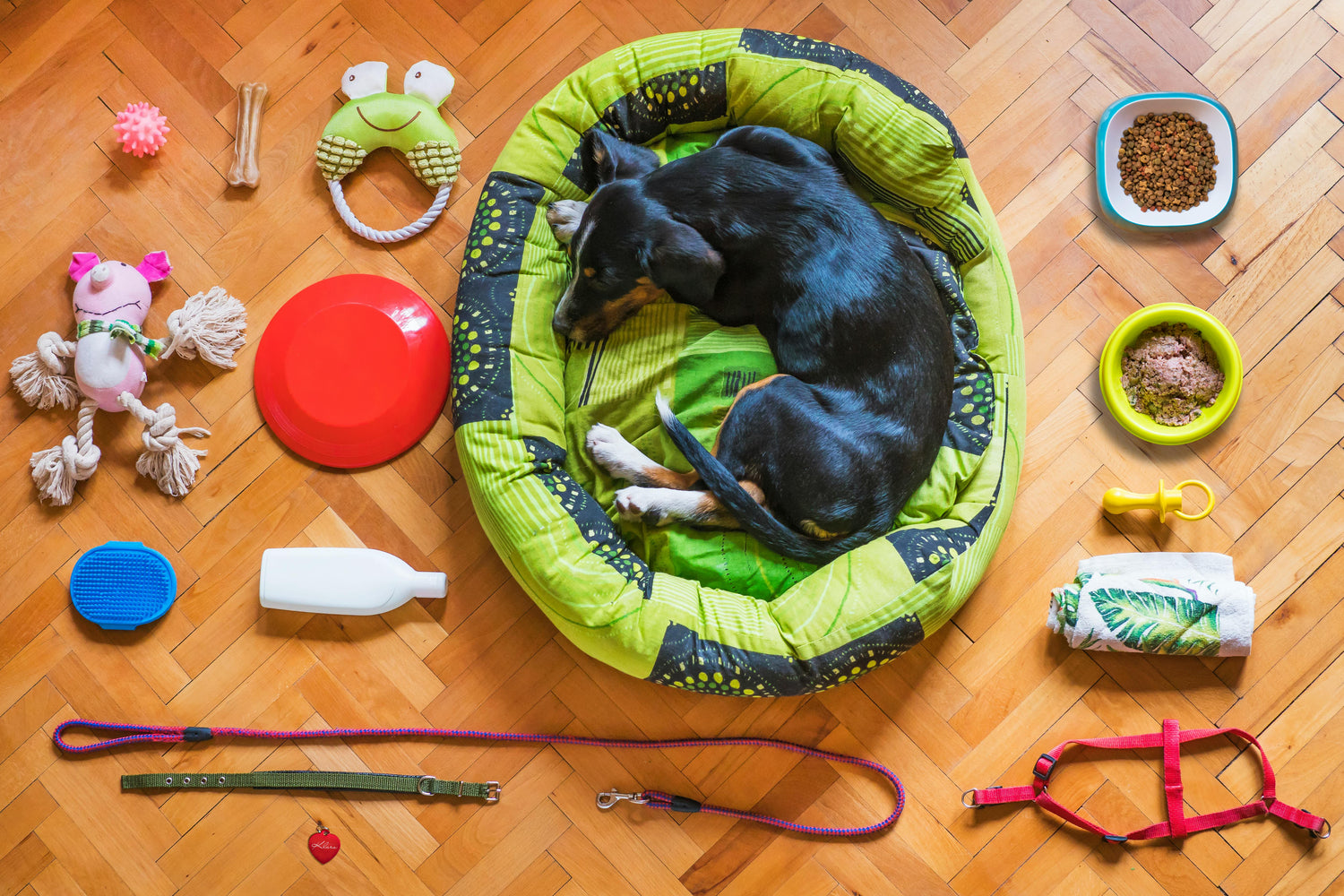Pet Supplies for Home