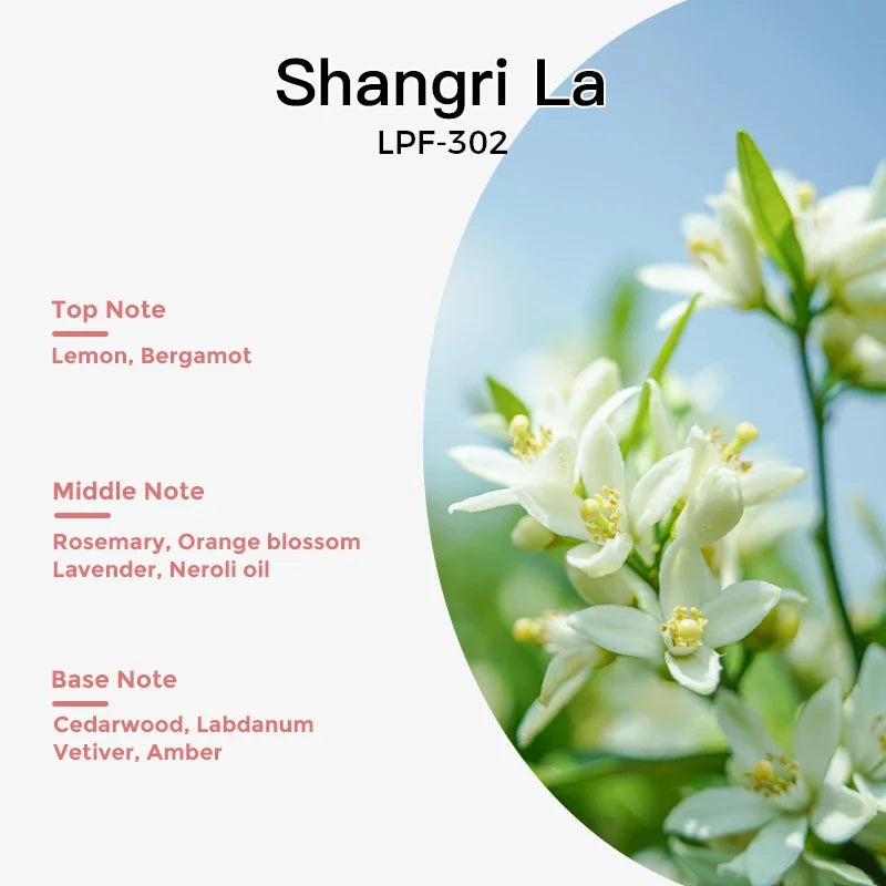 NAMSTE 100ML Essential Oil Refill for Electric Diffuser – Aromatherapy Air Freshener & Home Fragrance Oil