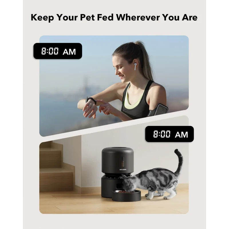 Automatic Cat Feeder with Timed Meals