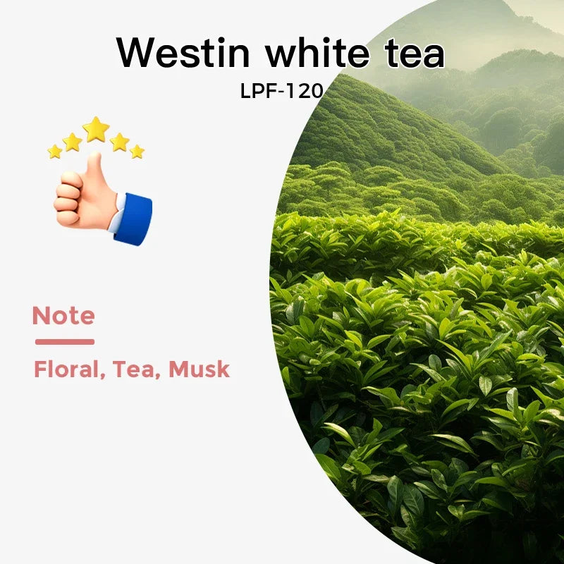 NAMSTE 100ML Essential Oil Refill for Electric Diffuser – Aromatherapy Air Freshener & Home Fragrance Oil