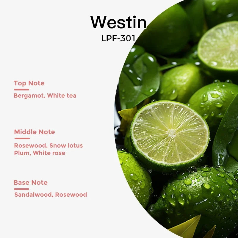 NAMSTE 100ML Essential Oil Refill for Electric Diffuser – Aromatherapy Air Freshener & Home Fragrance Oil