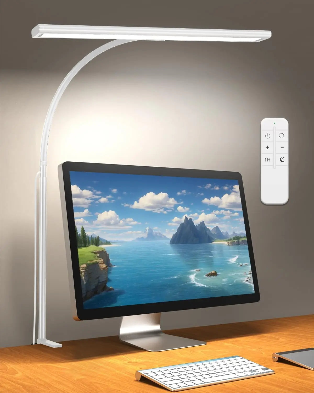 LED Desk Lamp with Adjustable Gooseneck