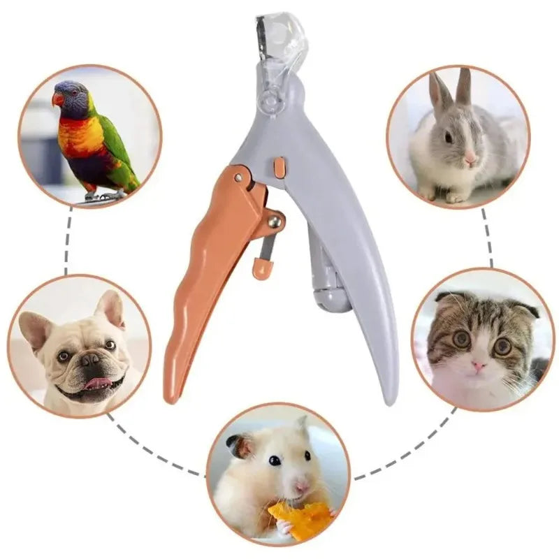 LED Pet Nail Clippers with Light – Safe Dog & Cat Nail Trimmer Scissors for Grooming, Precision Claw Care Tool with Built-In LED for Easy Pet Maintenance