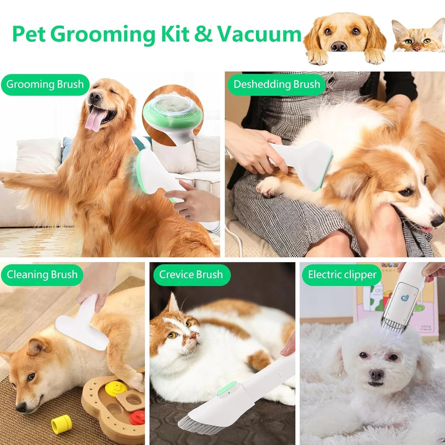 Pet Grooming Vacuum Kit 2L Quiet Dog Hair Trimmer with 5 Professional Grooming Tools