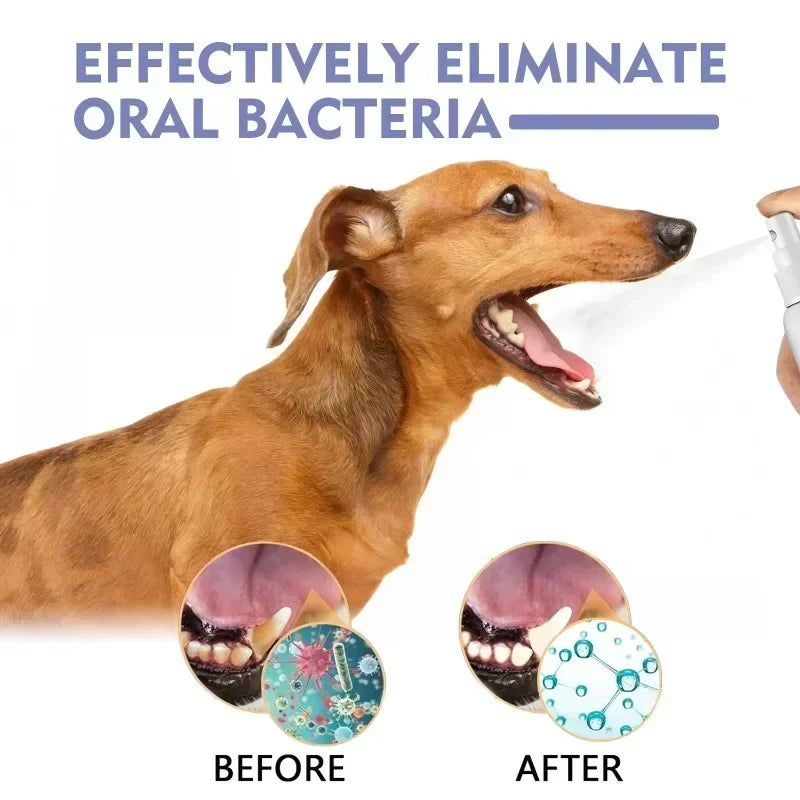 Pet Teeth Cleaning Spray for Dogs & Cats – Oral Care Dental Spray for Fresh Breath, Plaque & Tartar Removal, Teeth Whitening & Bad Breath Control