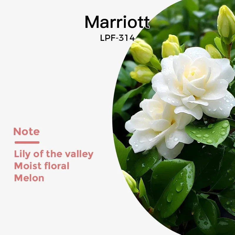 NAMSTE 100ML Essential Oil Refill for Electric Diffuser – Aromatherapy Air Freshener & Home Fragrance Oil