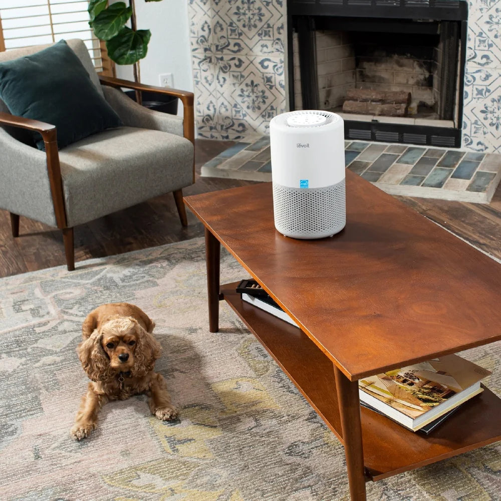 Smart Air Purifier with App Control Filtration