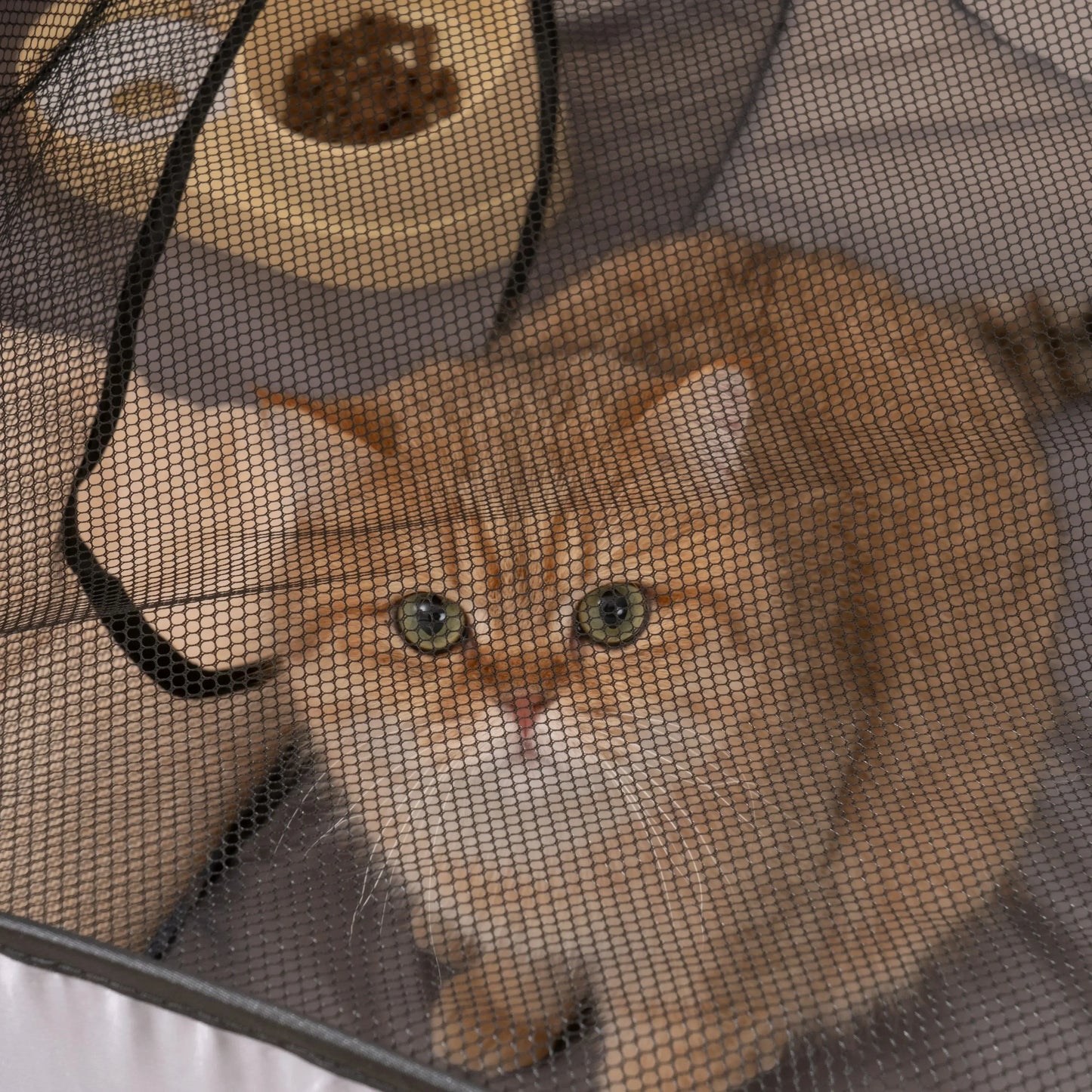 Foldable Pet Nest with Tunnel