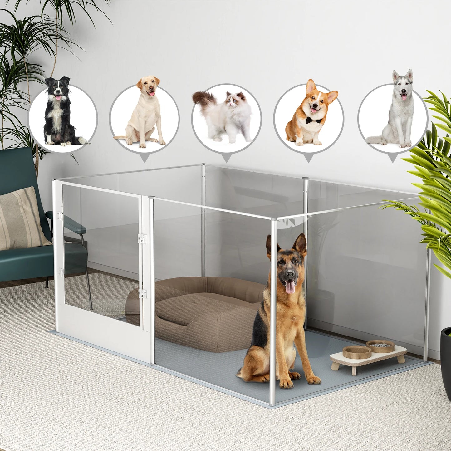 Clear Acrylic Pet Playpen with Pad